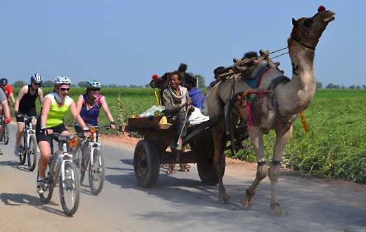 rajasthan-biking rajasthan-biking